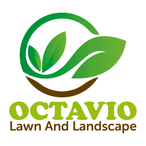 Octavio lawn and landscape